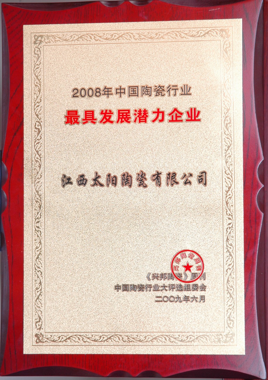 2008年中国陶瓷行业最具发发展潜力企业.JPG